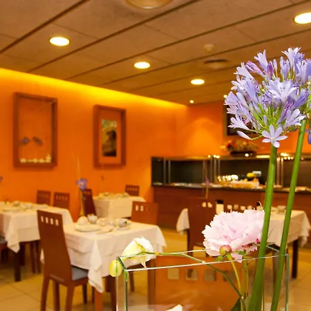 Bed & Breakfast El Pekinaire