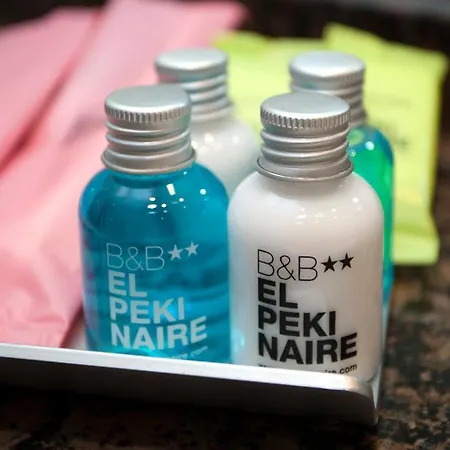 ベッド・アンド・ブレックファスト El Pekinaire