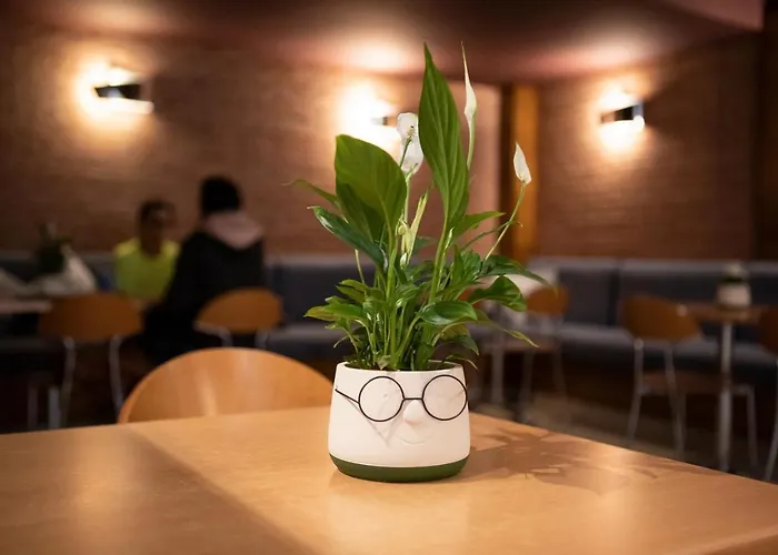 Panzió El Pekinaire