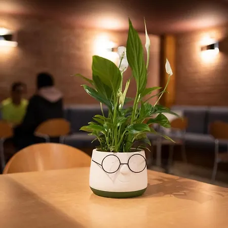 Готель типу 