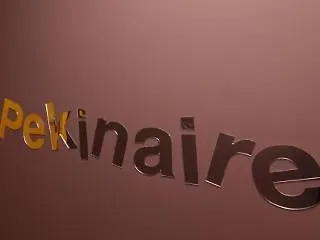 El Pekinaire Готель типу 